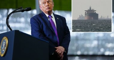 âMany countriesâ to send war ships to keep Strait of Hormuz âopen and safeâ: Trump